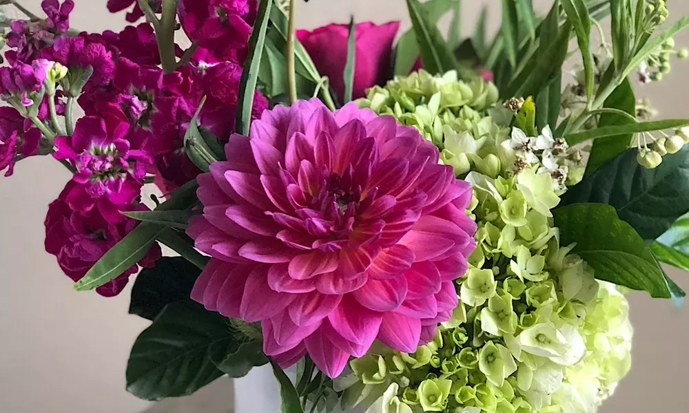 Flowers and Plants at Loose Leaf Florist (Up to 47% Off). Two Options Available. - Primary Image