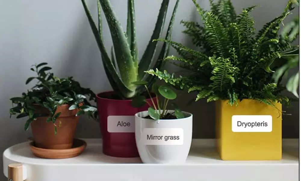 Imprimante d'étiquettes thermiques portable avec rouleau d'étiquettes