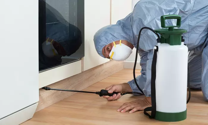 Desinfección vírica a domicilio