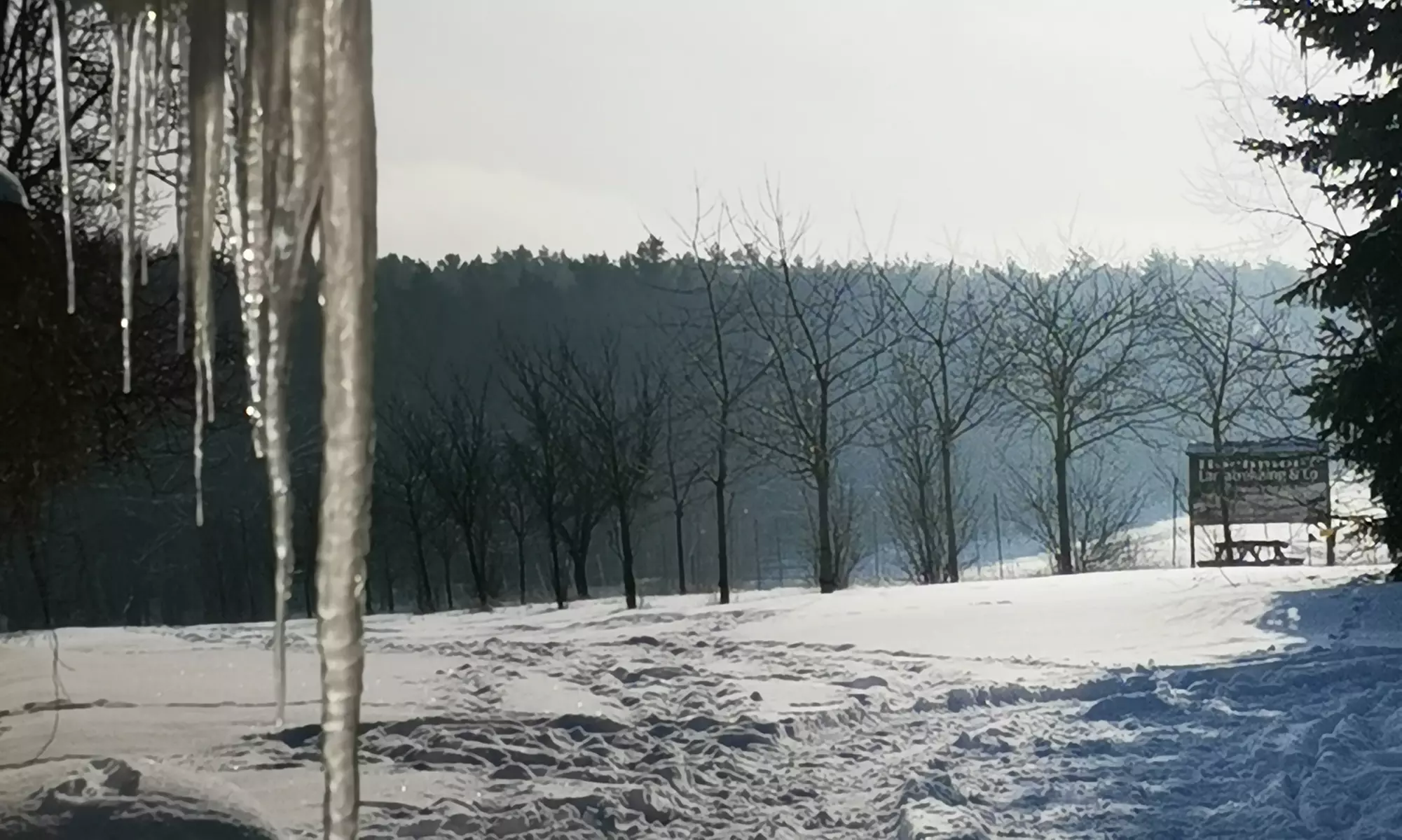 Alpaka- und Lama-Wanderung