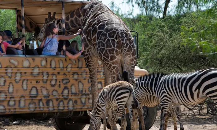 General Admission for One Child or Adult to Out of Africa Wildlife Park (Up to 17% Off) - Primary Image