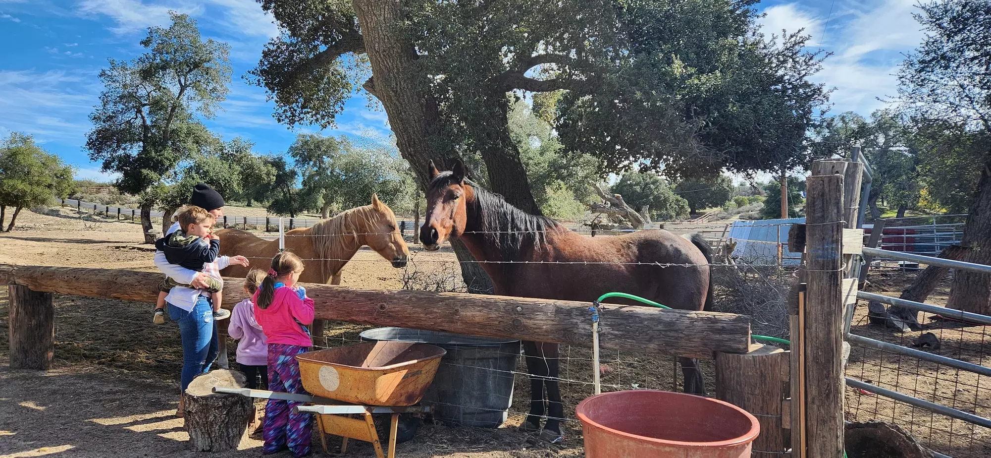 Family Adventure with Animal Tour: Day Pass for One or Two Family 