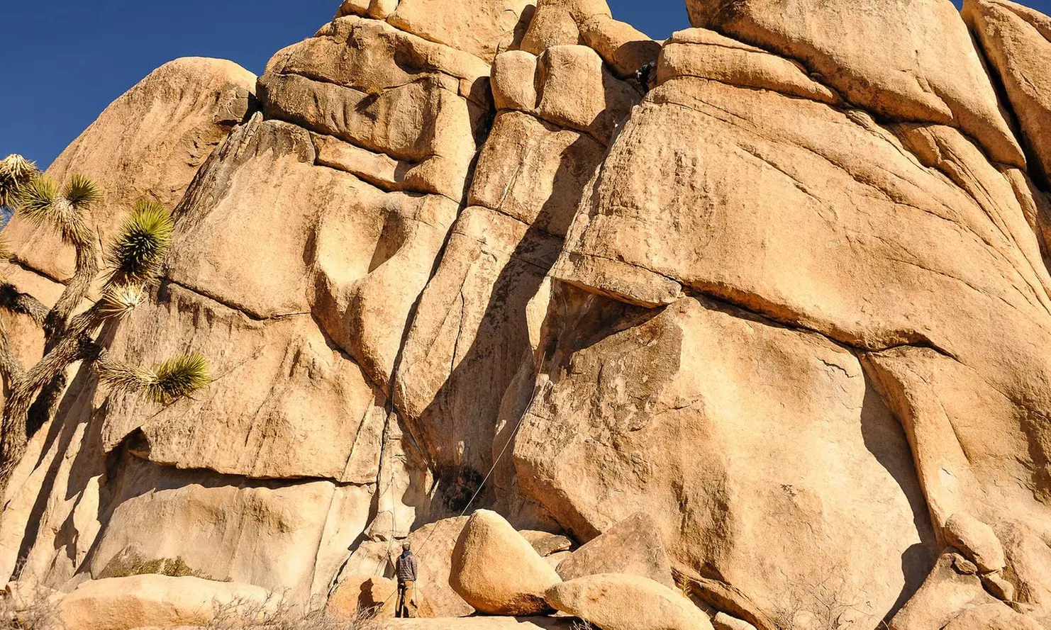 One-Day Joshua Tree Basic Rock-Climbing Course for One, Two, or Three at Mountain Madness - Second Medium