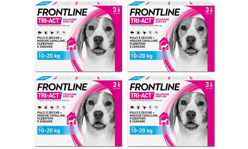 Image 6: Fino a 12 pipette Frontline Tri-Act® Spot-on per cani
