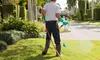 $67 for $149 Worth of Pest-Control Services — EverGreen Mosquito Control