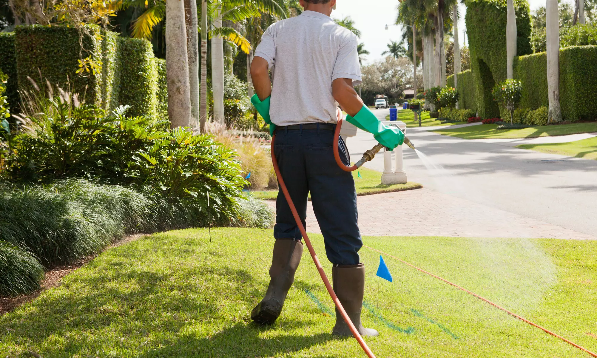 $67 for $149 Worth of Pest-Control Services — EverGreen Mosquito Control - Primary Image
