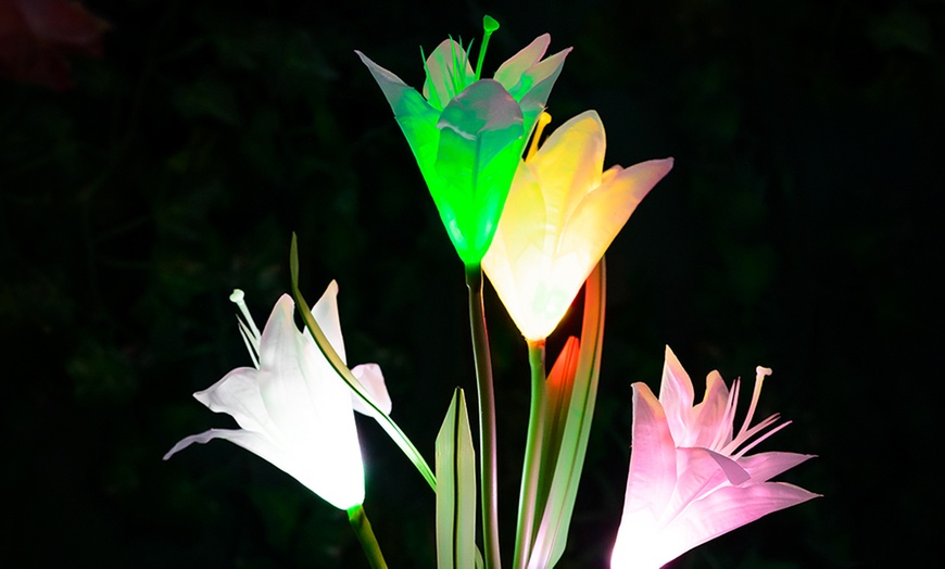 Image 4: Two-, Four- or Six-Pack of Solar Lily Flower Lights