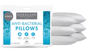 Two Anti-bacterial Pillows