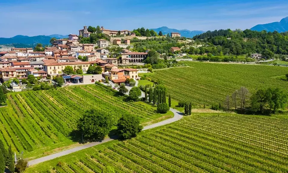Capriolo: camera, colazione, visita alla cantina e degustazione