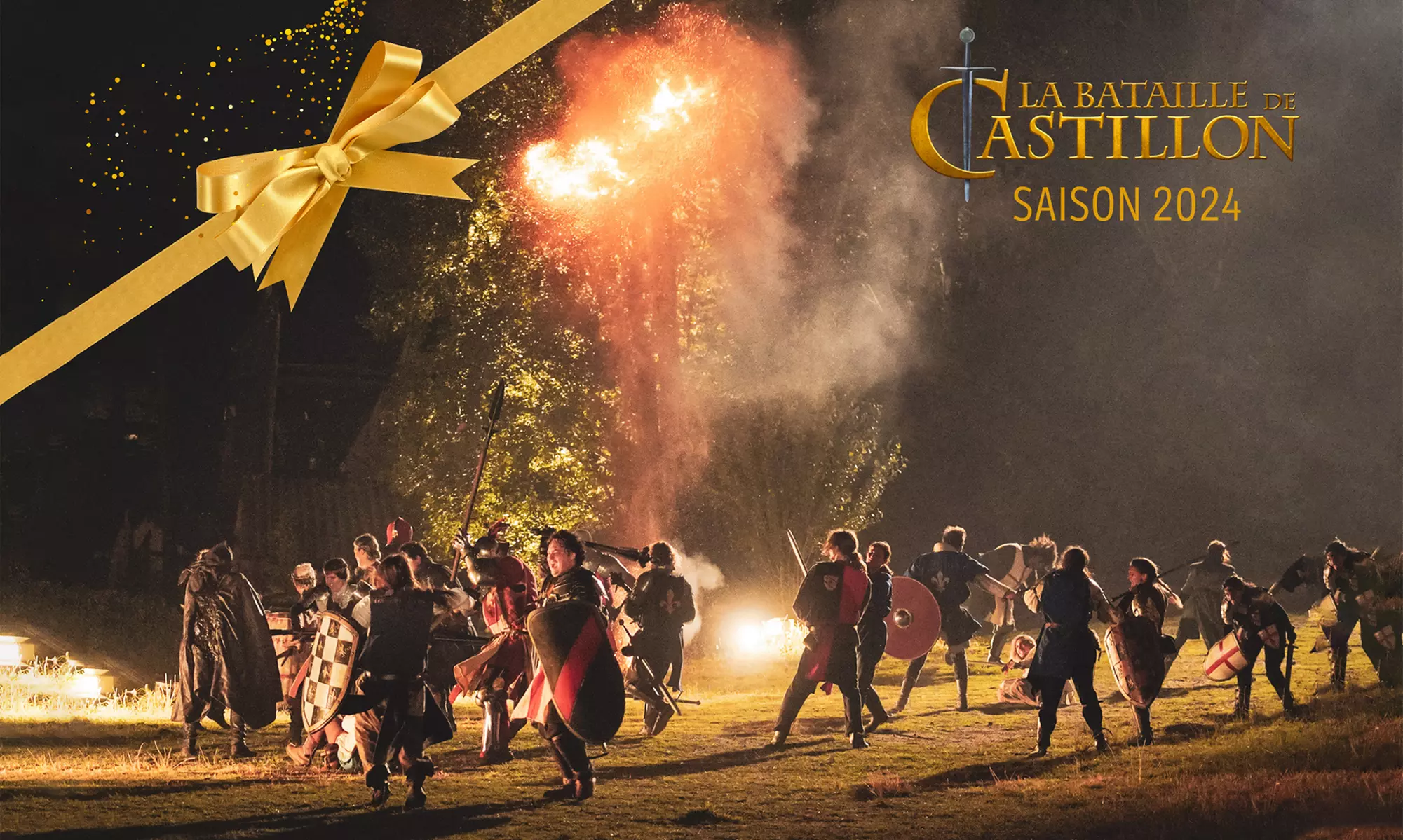 Bon cadeau pour "La Bataille de Castillon" - Primary Image