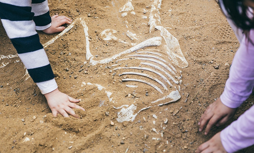 Image 4: Expo Dino: entradas para niños o adultos en fechas a elegir