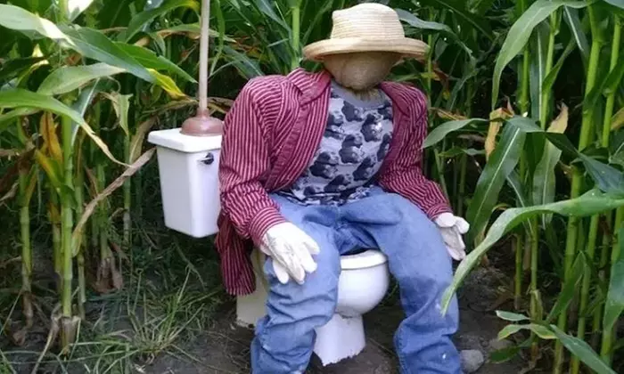 Get Lost in the Corn Maze and Relax by the Communal Fire Pits
