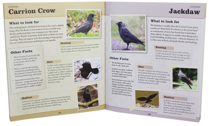 Image 2: Bird Watching Gift Set