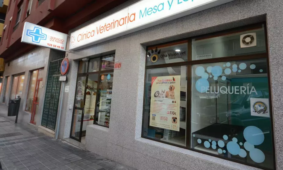 Mantén a tu compañero sano: vacunas para 1 perro o gato a elegir