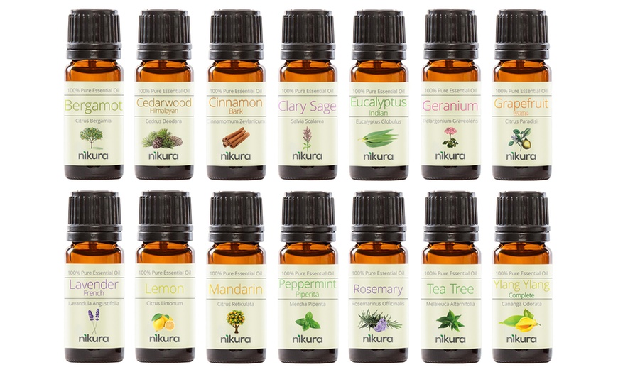 Image 5: Aromatherapy Essential Oils