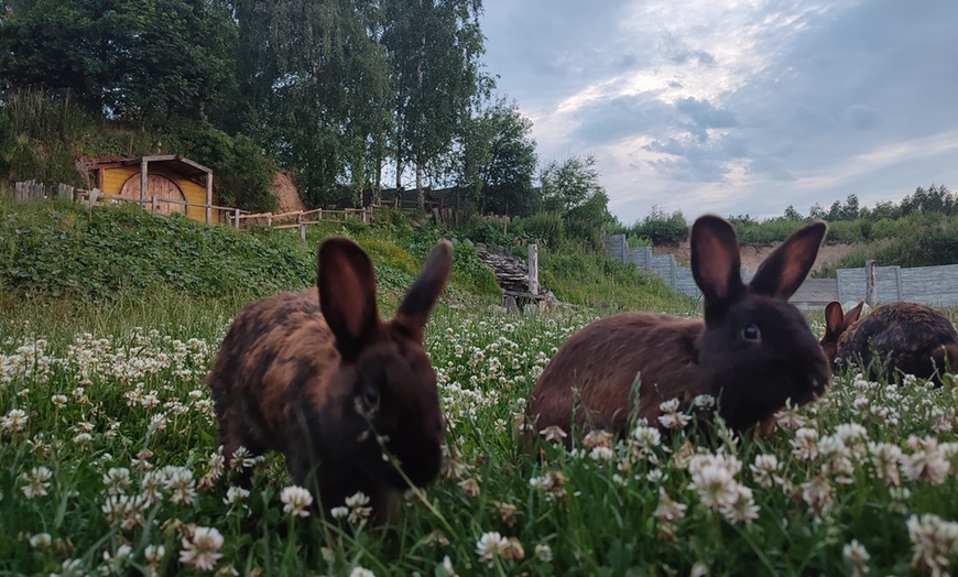 Image 17: Przeżyj magiczną przygodę w Ptasim Parku ZOObaczysko! Bilety wstępu