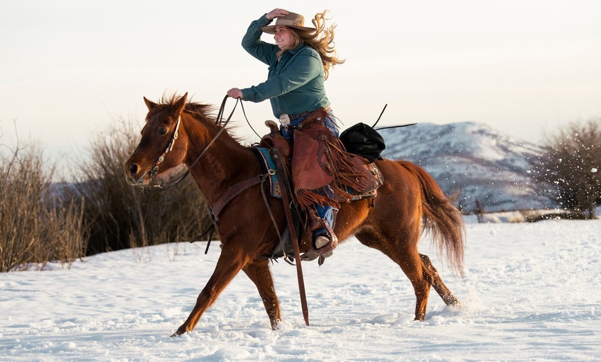 Image 1: Lezioni di equitazione per adulti o bambini da Grace Ranch