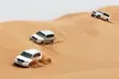 Desert Safari Standard for One or VIP Desert Safari for Up to Seven at Desert Safari - Image 2