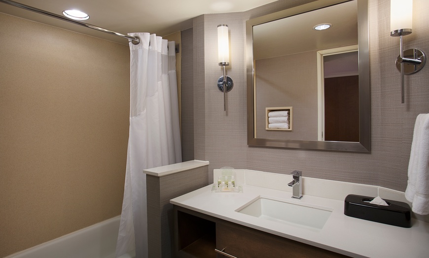 Image 5: Holiday Inn near Lake Michigan