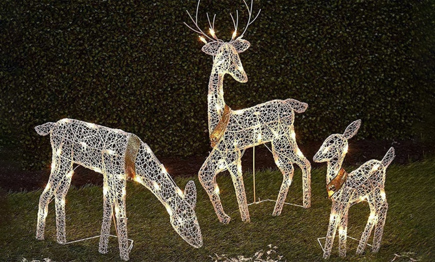 Image 1: One or Three LED Reindeer Christmas Decorations