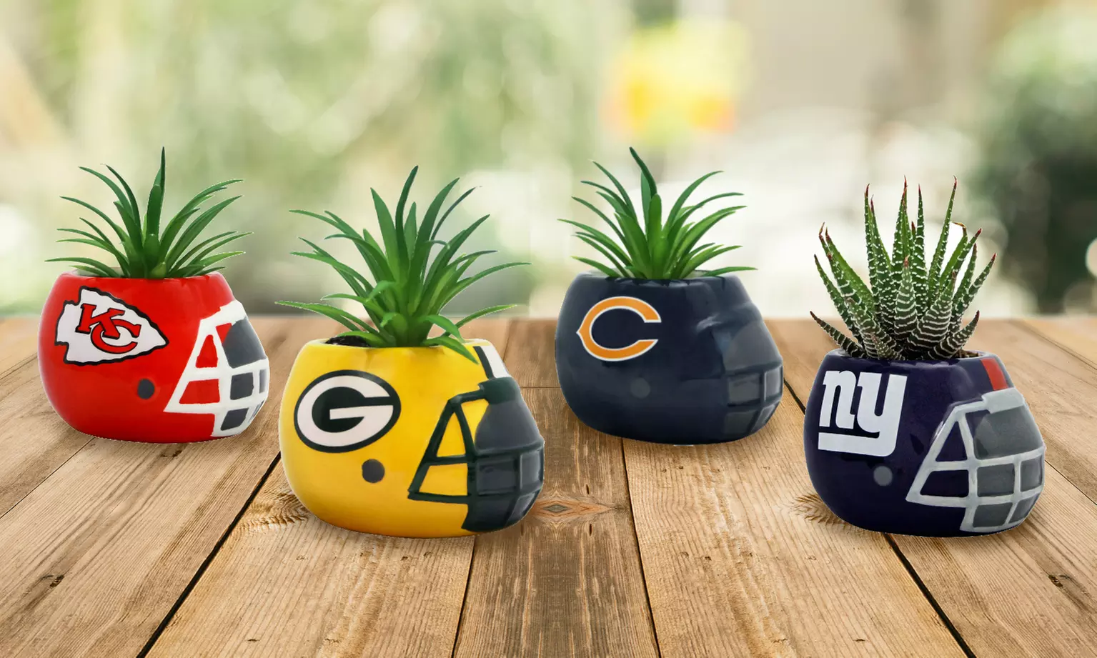 Sporticulture NFL Team Pride 3" Ceramic Mini Helmet Succulent Planter (Plant Included) - Primary Image