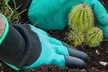 1 o 2 paia di guanti da giardinaggio con 4 artigli in plastica per scavare nel terreno - Image 3
