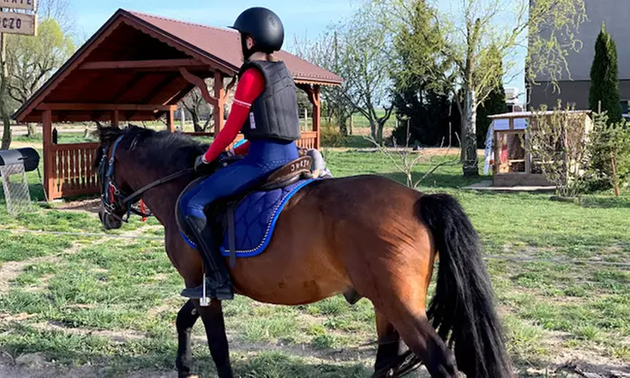 Odkryj urok jazdy konnej: indywidualne sesje lub trening na lonży w KajaKing (do -31%)