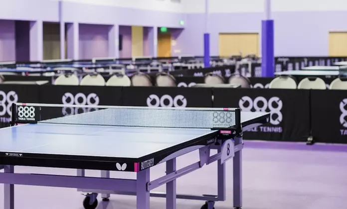 Ping Pong for Everyone: Classes Tailored to Your Style!