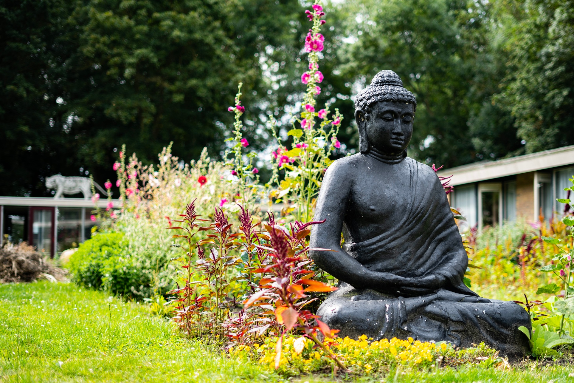 Zeeland: Doppelzimmer nach Wahl, opt. Frühstück od. All-inclusive