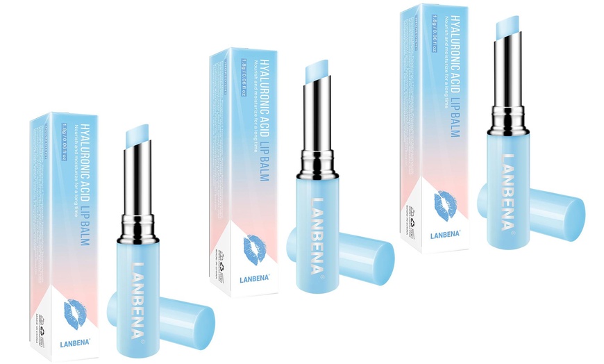 Image 4: Hyaluronic Acid Lip Balm