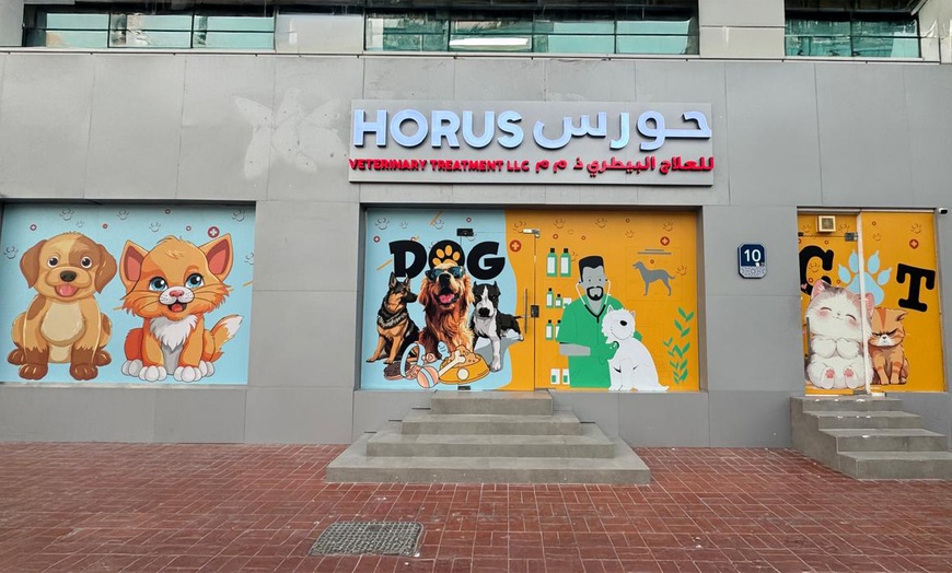 Image 2: Explore Vaccine and Grooming Packages for Your Pet