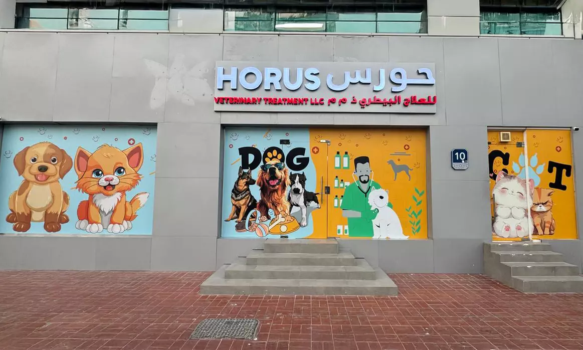 Explore Vaccine and Grooming Packages for Your Pet