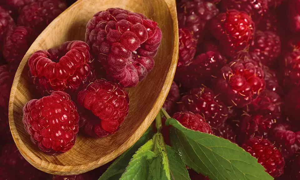 Brandywine Raspberry Bare Root Plant - Second Medium