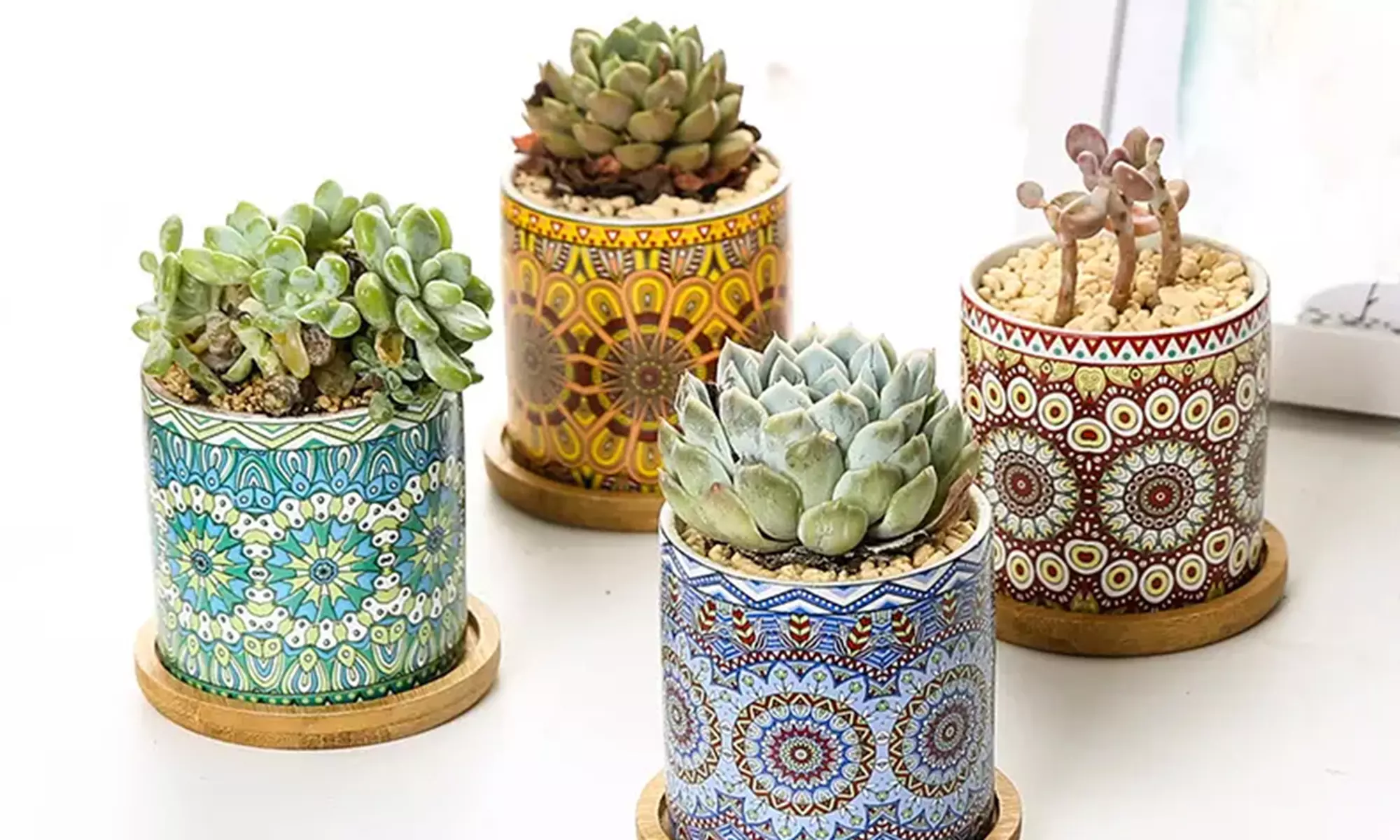 Lot de 3 pots de fleurs en céramique pour succulentes