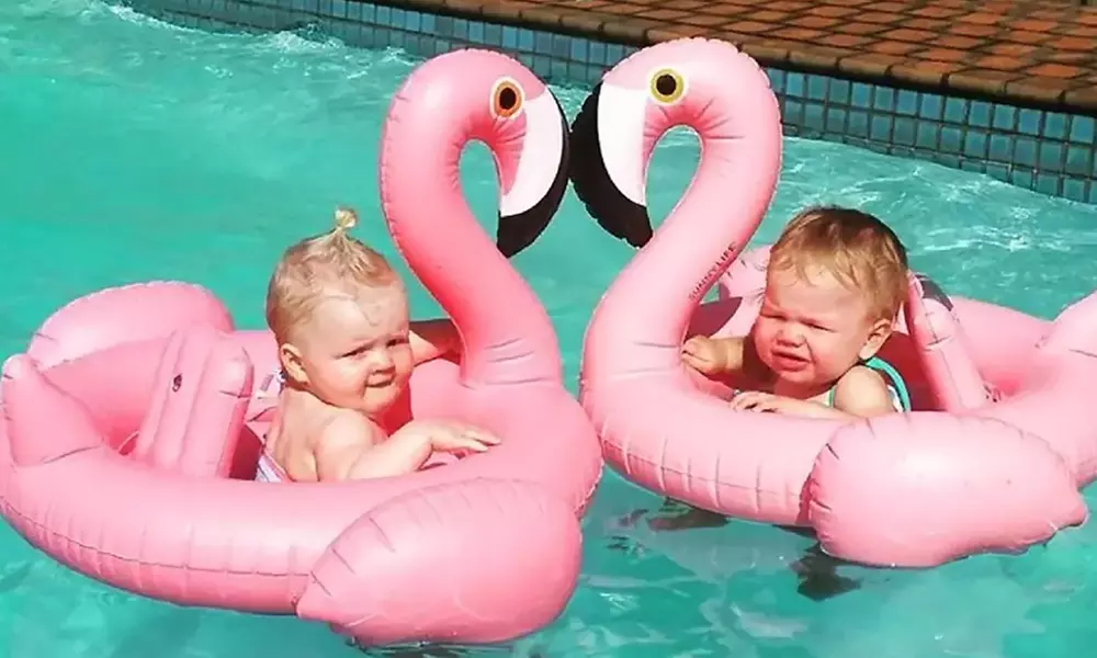 Baby Flamingo and Swan Swim Floats - Primary Image