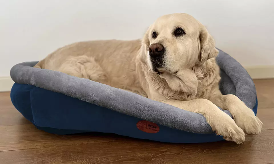 Cucce, lettini e divanetti per cani e gatti in vari modelli e misure