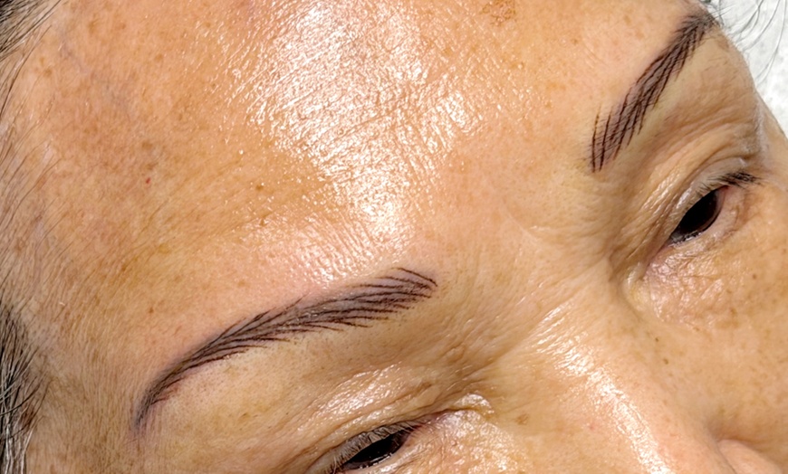 Image 4: Permanent Makeup nano Brows Powder Brows and Lip Blush