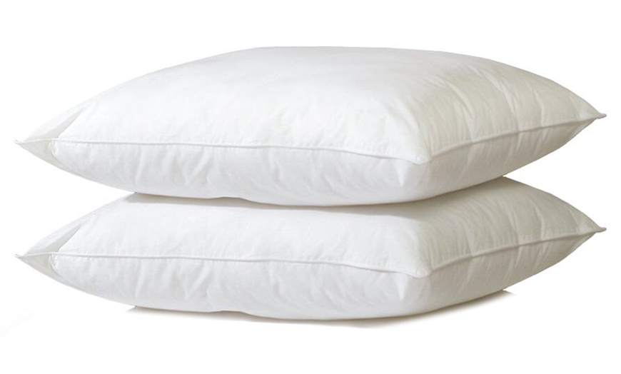 Elizabeth Jayne Hotel Quality Pillows | Groupon