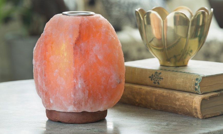 Image 1: Himalayan Salt Lamp Oil Diffuser