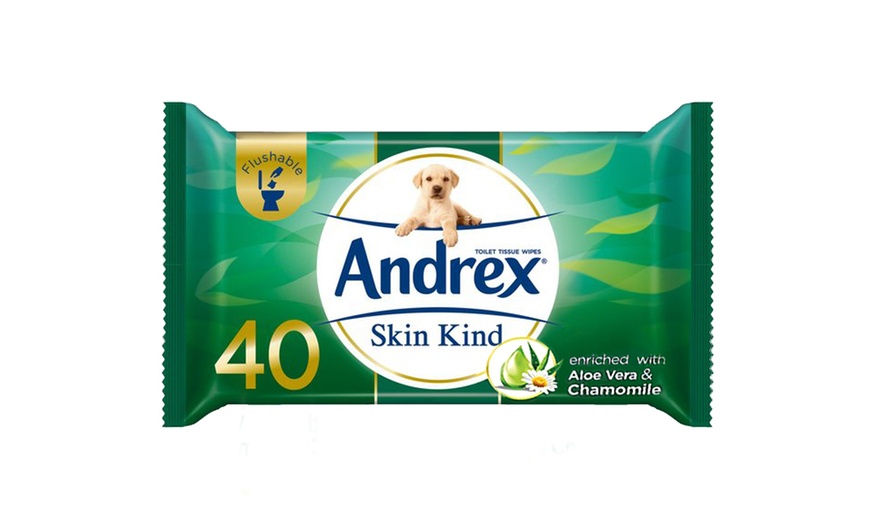 Image 2: Andrex Skin Kind Aloe Washlets