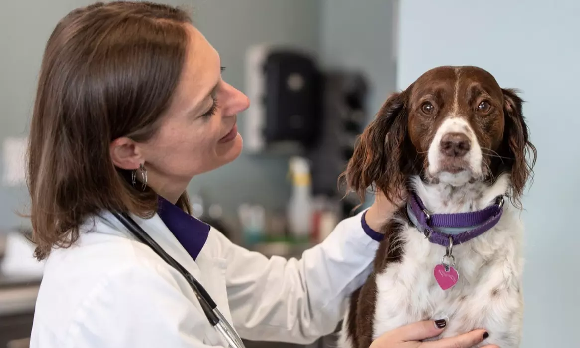 Up to 49% Off on Healthcare - Pet (Retail) at PetWellClinic - Arvada - Second Medium