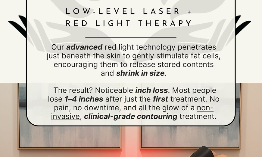 Image 3: Melt Away Fat with One or Two RxLipo Laser-Lipo Treatments