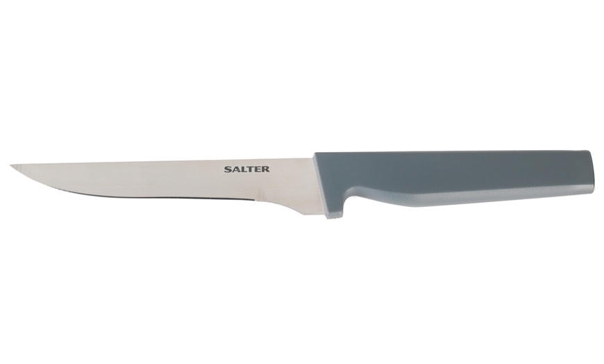 Image 11: 14-Piece Salter Knife Set