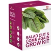 Image 22: Mixed Seed Grow Kits