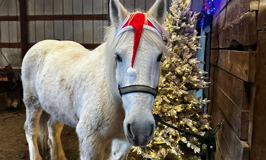 Image 2: Horseback Trail Ride Through Hudson Valley (45 Minutes)