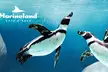Au cœur de Marineland, le plus grand zoo marin d'Europe avec une entrée unique adulte / enfant - Second Medium