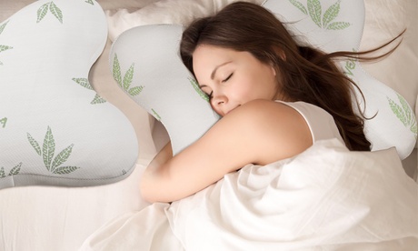 Oreiller Papillon plumes, avec actifs d’aloe vera, coutil 100% coton déhoussable, Sampur