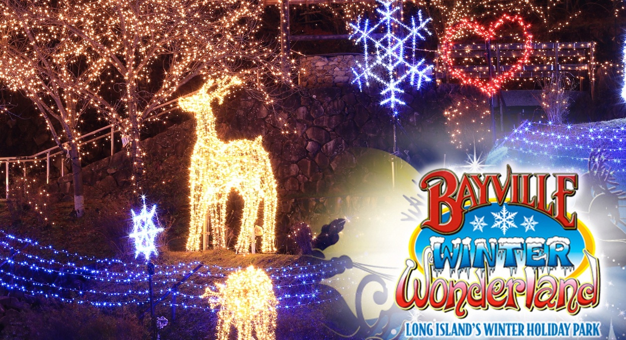 Experience Bayville Winter Wonderland: Admission with Santa's Photo!