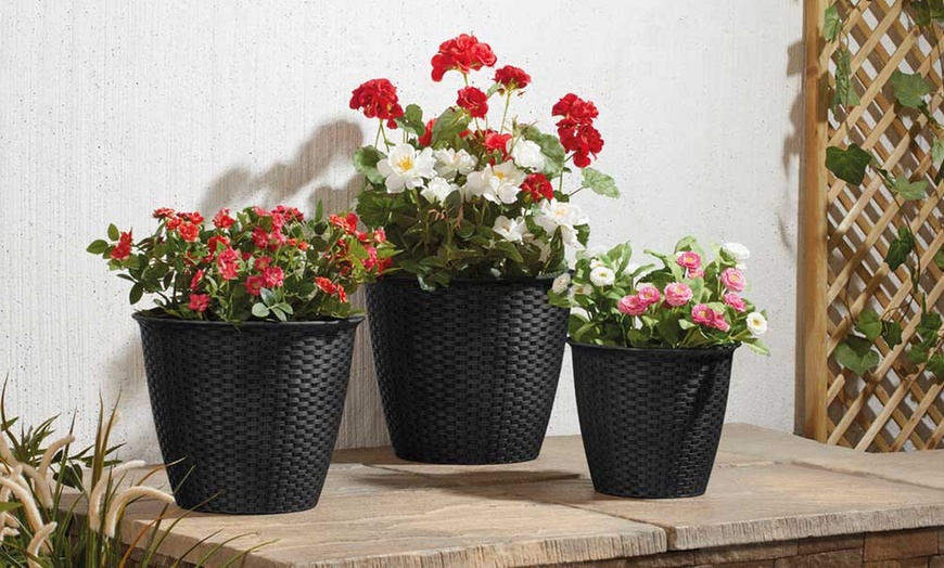 Image 2: Three-Pk Rattan-Effect Planters