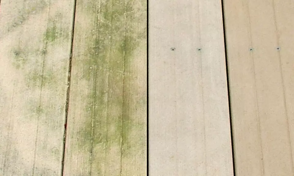 Wet & Forget Outdoor Concentrate (96 Oz.; Makes 4.5 Gal.) - Image 2